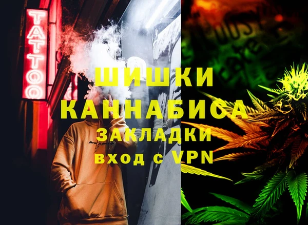 индика Осташков