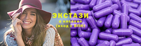 ECSTASY Богданович