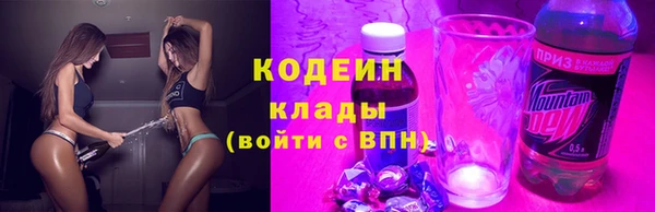Альфа ПВП Няндома
