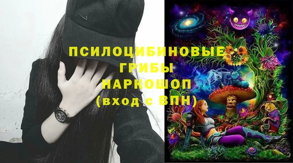 Альфа ПВП Няндома