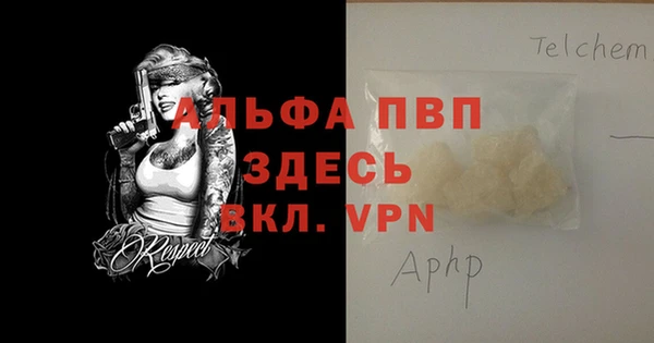 индика Осташков