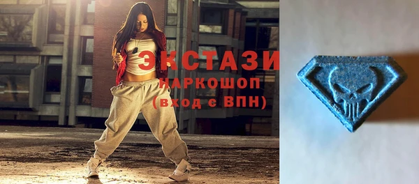 индика Осташков