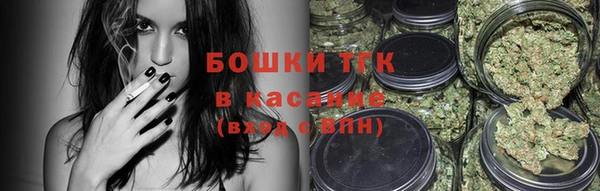индика Осташков