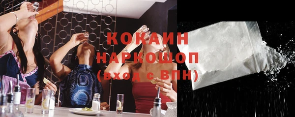 индика Осташков