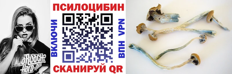 kraken ТОР  Соликамск  Галлюциногенные грибы мицелий 