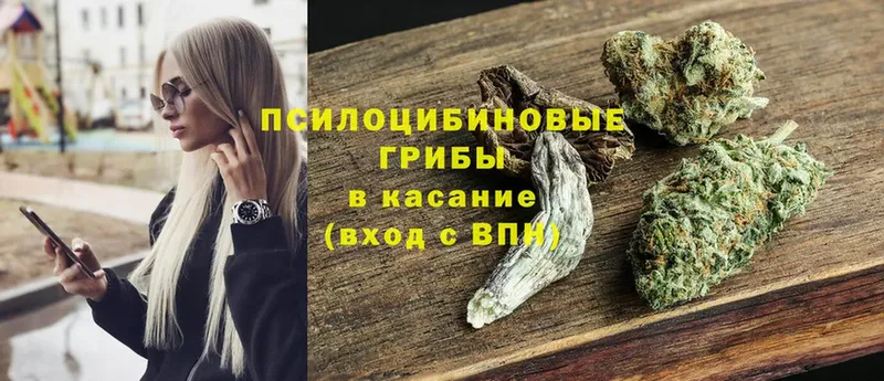 Псилоцибиновые грибы Magic Shrooms  Соликамск 