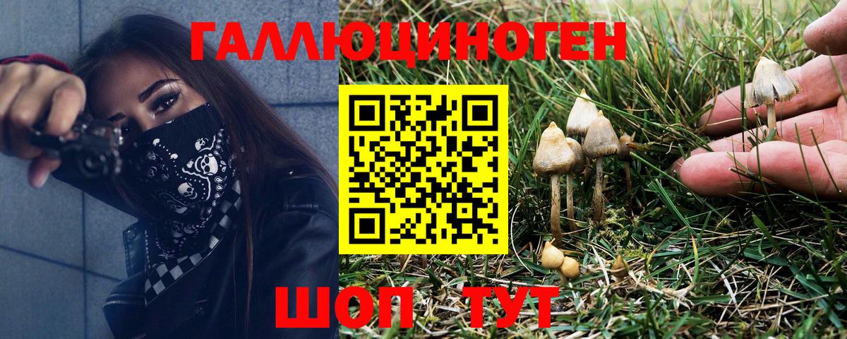 Псилоцибиновые грибы мухоморы  Соликамск  цены наркотик  Галлюциногенные грибы мицелий 